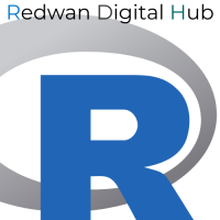 Redwan Digital Hub Logo